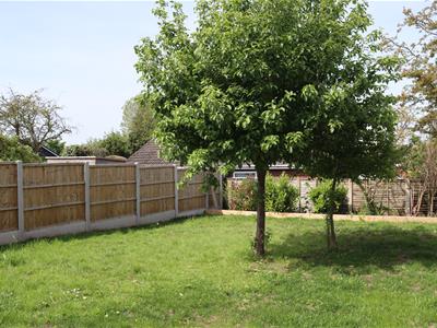 Picture 15
